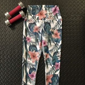 Evolution and Creation workout pants